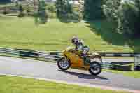 Advanced Group Yellow Bikes